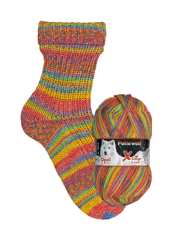 Raggsockor i opalgarn